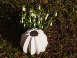 Váza CACTUS, 11 cm